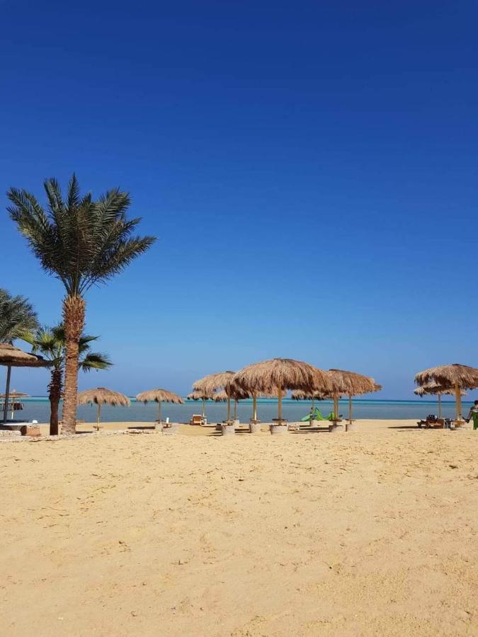 דירות הורגהדה Tony'S Privy Beds By Red Sea מראה חיצוני תמונה